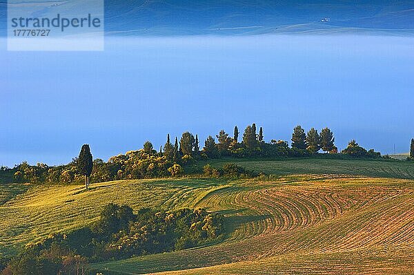 Val d'Orcia. Orcia-Tal in der Morgendämmerung. Morgennebel. UNESCO-Weltkulturerbe. San Quirico d'Orcia. Provinz Siena. Toskana. Landschaft in der Toskana. Italien