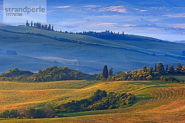 Val d'Orcia. Orcia-Tal in der Morgendämmerung. Morgennebel. UNESCO-Weltkulturerbe. San Quirico d'Orcia. Provinz Siena. Toskana. Landschaft in der Toskana. Italien