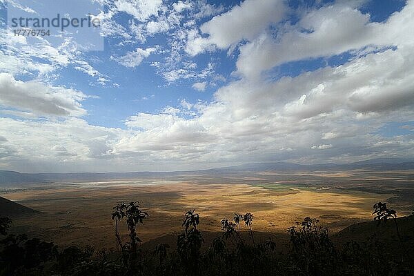 Ngorongoro-Krater  Tansania  Afrika