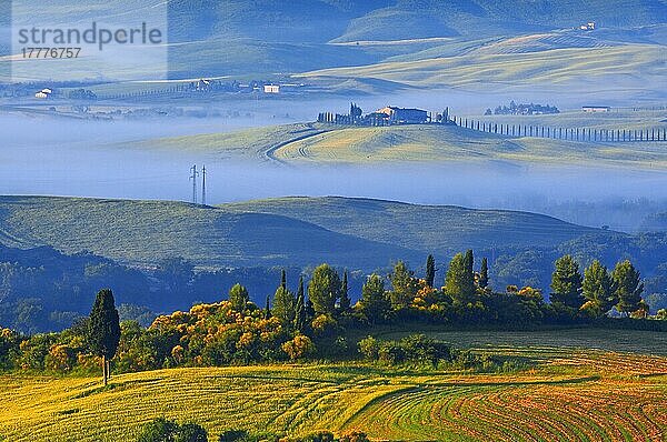 Val d'Orcia. Orcia-Tal in der Morgendämmerung. Morgennebel. UNESCO-Weltkulturerbe. San Quirico d'Orcia. Provinz Siena. Toskana. Landschaft in der Toskana. Italien