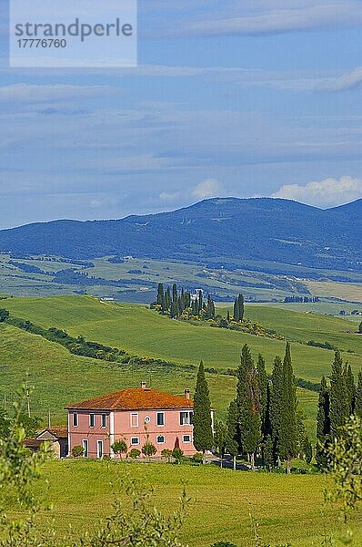 Val d'Orcia  Orcia-Tal  Bauernhof mit Zypressen  Felder und Bauernhäuser  Toskana-Landschaft  UNESCO-Weltkulturerbe  Pienza  Provinz Siena  Toskana  Italien  Europa