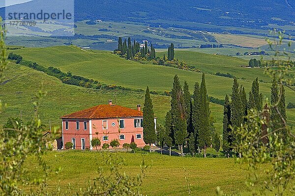 Val d'Orcia  Orcia-Tal  Bauernhof mit Zypressen  Felder und Bauernhäuser  Toskana-Landschaft  UNESCO-Weltkulturerbe  Pienza  Provinz Siena  Toskana  Italien  Europa