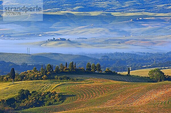 Val d'Orcia. Orcia-Tal in der Morgendämmerung. Morgennebel. UNESCO-Weltkulturerbe. San Quirico d'Orcia. Provinz Siena. Toskana. Landschaft in der Toskana. Italien