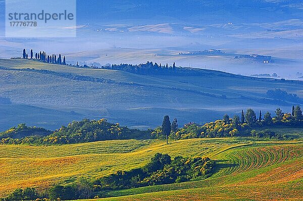 Val d'Orcia. Orcia-Tal in der Morgendämmerung. Morgennebel. UNESCO-Weltkulturerbe. San Quirico d'Orcia. Provinz Siena. Toskana. Landschaft in der Toskana. Italien