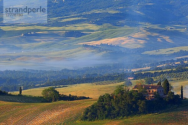 Val d'Orcia. Orcia-Tal in der Morgendämmerung. Morgennebel. UNESCO-Weltkulturerbe. San Quirico d'Orcia. Provinz Siena. Toskana. Landschaft in der Toskana. Italien