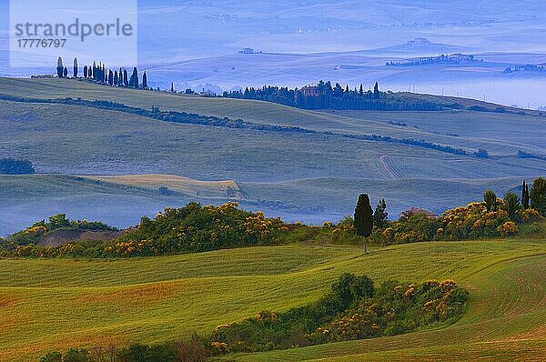 Val d'Orcia. Orcia-Tal in der Morgendämmerung. Morgennebel. UNESCO-Weltkulturerbe. San Quirico d'Orcia. Provinz Siena. Toskana. Landschaft in der Toskana. Italien