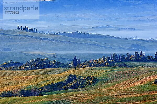 Val d'Orcia. Orcia-Tal in der Morgendämmerung. Morgennebel. UNESCO-Weltkulturerbe. San Quirico d'Orcia. Provinz Siena. Toskana. Landschaft in der Toskana. Italien