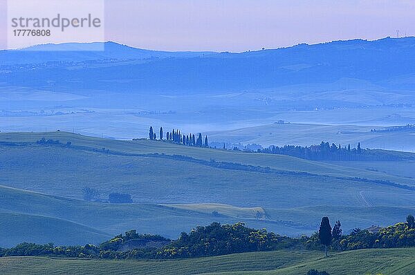 Val d'Orcia. Orcia-Tal in der Morgendämmerung. Morgennebel. UNESCO-Weltkulturerbe. San Quirico d'Orcia. Provinz Siena. Toskana. Landschaft in der Toskana. Italien