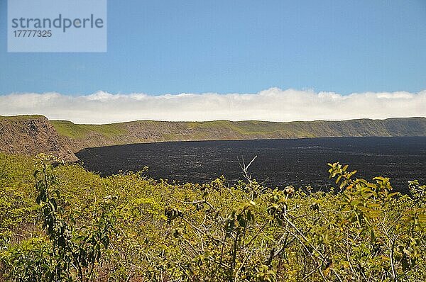 Caldera des Vulkans Sierra Negra  Krater