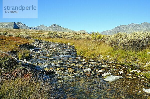 Fluss  Rondane Nationalpark  Norwegen  Europa