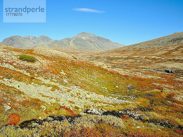 Tundra  Rondane Nationalpark  Norwegen  Europa