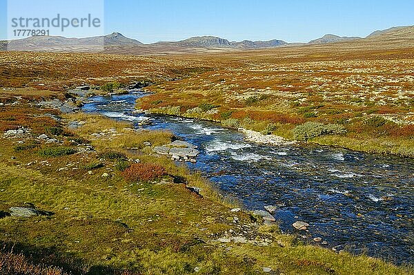 Fluss  Rondane Nationalpark  Norwegen  Europa