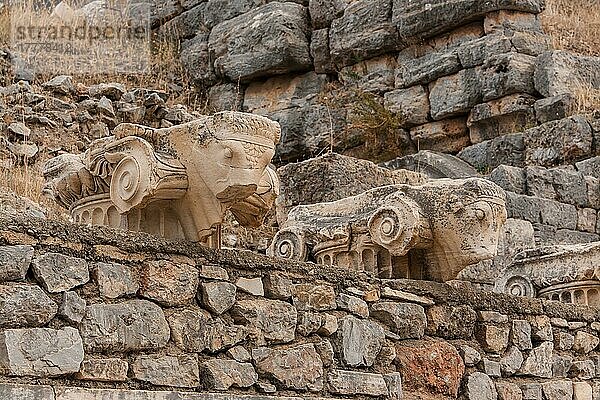 Stierkopf-Kapitelle  Ephesus  Türkei  Asien