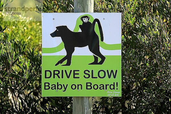 Straßenschild  Verkehrsschild  Hinweisschild  Tierschutz  Schutz für Paviane mit Jungtier  Betty's Bay  Westkap  Südafrika