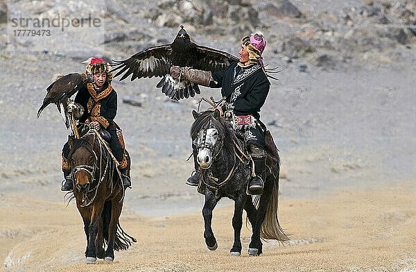 Kasachische Jäger zu Pferd  mit vermummten Steinadlern (Aquila chrysaetos)  auf dem Weg zum Adlerjäger-Festival  Bajan-Ulgii  Westmongolei  Oktober