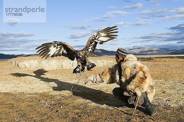 Kasachischer Jäger mit Steinadler (Aquila chrysaetos)  Altai-Gebirge  Bajan-Ulgii  Westliche Mongolei  Oktober