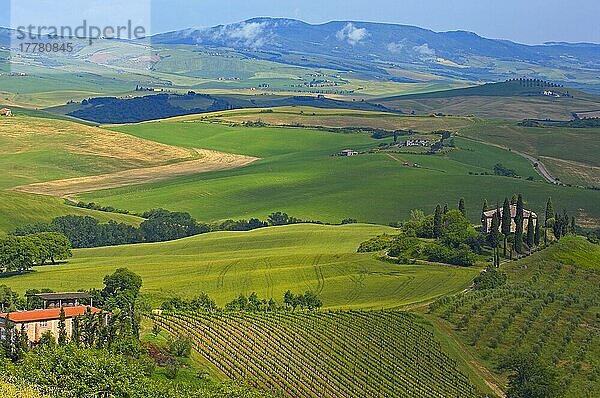 Val d'Orcia  Orcia-Tal  Felder und Bauernhäuser  Toskana-Landschaft  UNESCO-Weltkulturerbe  Provinz Siena  Toskana  Italien  Europa