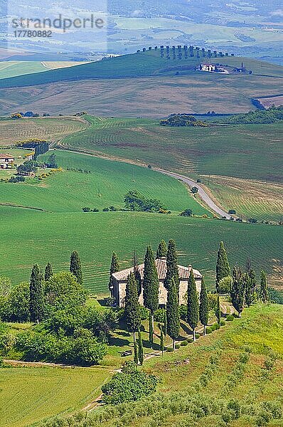 Val d'Orcia  Orcia-Tal  Felder und Bauernhäuser  Toskana-Landschaft  UNESCO-Weltkulturerbe  Provinz Siena  Toskana  Italien  Europa