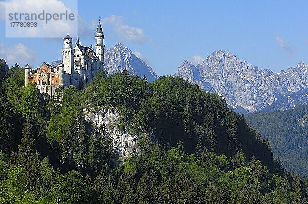 Neuschwanstein Castle  Schloss Neuschwanstein  Allgau  Fussen  Allgäu  Füssen  Romantic Road  Romantische Straße  Europe