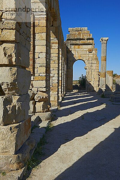 Volubilis  Mulay Idris  Meknes  Römische Ruinen von Volubilis  UNESCO-Weltkulturerbe  Maghreb  Nordafrika  Marokko  Afrika