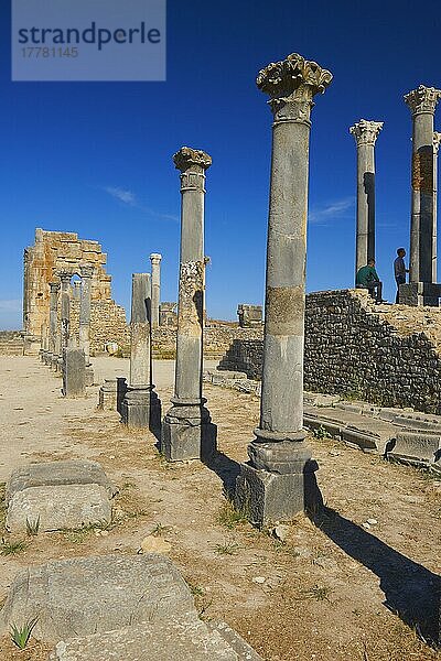 Volubilis  Mulay Idris  Meknes  Römische Ruinen von Volubilis  UNESCO-Weltkulturerbe  Maghreb  Nordafrika  Marokko  Afrika