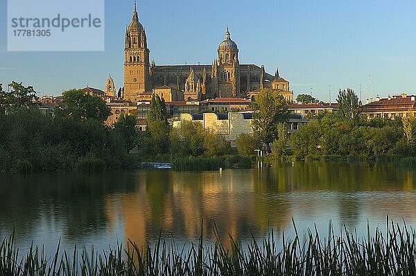 Kathedrale und Fluss Tormes  Salamanca  Kastilien-León  Spanien  Europa