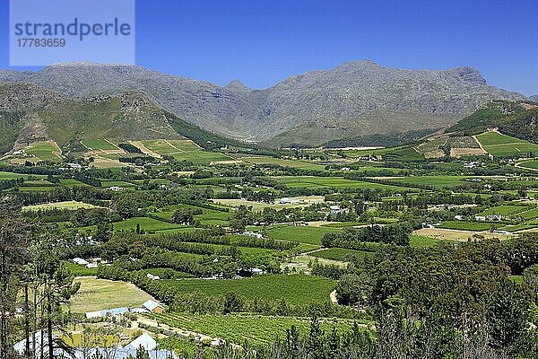 Franschhoek  Kapregion  Westkap  Südafrika  Weinanbaugebiet