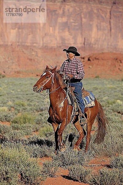 Navajo-Cowboy  Mustang  Monument Valley  Utah  USA  Indianer  Amerikanischer Ureinwohner  Nordamerika