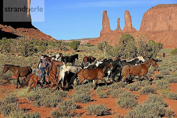 Navajo-Cowboy treibt Mustangs  Monument Valley  Utah  USA  Indianer  Amerikanischer Ureinwohner  Nordamerika