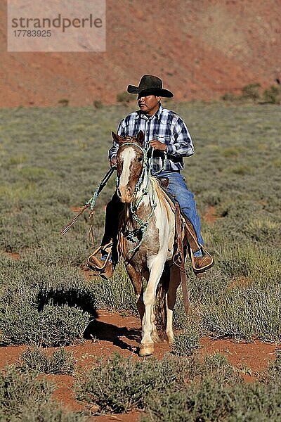 Navajo-Cowboy  Mustang  Monument Valley  Utah  USA  Indianer  Amerikanischer Ureinwohner  Nordamerika