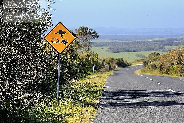 Verkehrszeichen  Vorsicht  Tierschutz  Naturschutz  Koala  Wombat  Känguru  Victoria  Australien  Ozeanien