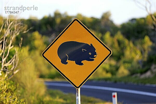 Verkehrszeichen  Vorsicht  Tierschutz  Naturschutz  Wombat  Victoria  Australien  Ozeanien