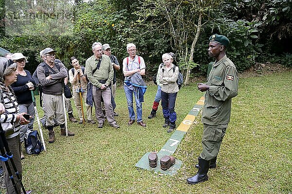 Ranger erklärt Touristen die 7-Meter-Distanz-Regel  Bwindi-Regenwald Nationalpark  Uganda  Afrika