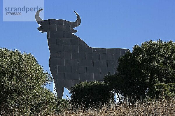 Stier-Silhouette  Osborne-Stier  heute nationales Symbol für Spanien  Provinz Cadiz  Spanien  Europa