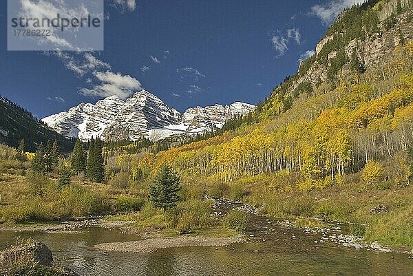 Espenbäume im Herbst Herbst Farbe Maroon Bells  Colorado  schneebedeckte Berge