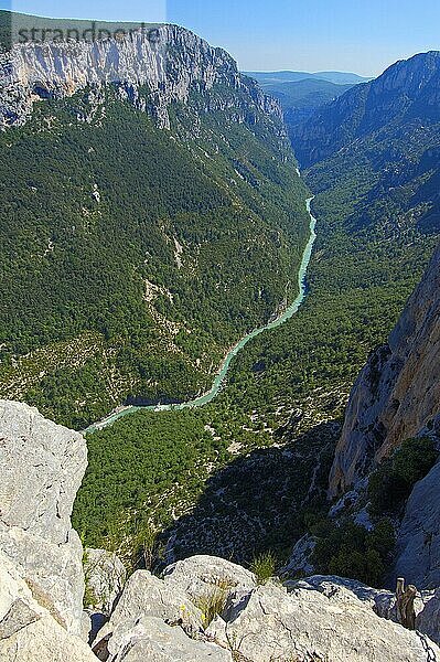 Blick auf den Verdon  Grand Canyon du Verdon  Schlucht  Regionaler Naturpark Verdon  Provence-Alpes-Cote d'Azur  Alpes-de-Haute-Provence  Verdonschlucht  Frankreich  Europa