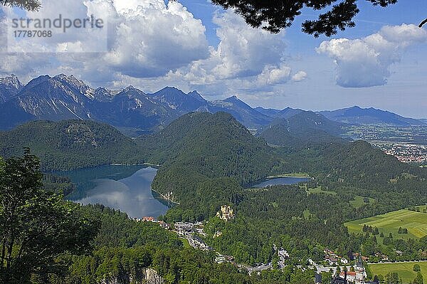 Schloss Hohenschwangau  Alpsee  Schwanseepark  Romantische Straße  Hohenschwangau  Schwangau  bei Füssen  Allgäu  Bayern  Füssen  Deutschland  Europa