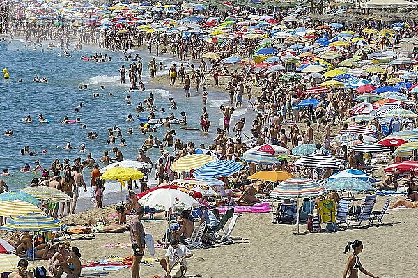 Strand in der Hochsaison  Benalmadena. Provinz Malaga  Costa del Sol  Andalusien  Spanien  Europa