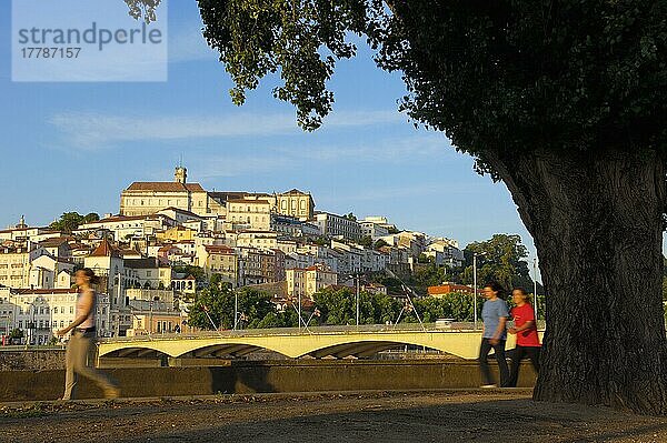 Altstadt  Fluss Mondego  Coimbra  Beira Litoral  Portugal  Europa
