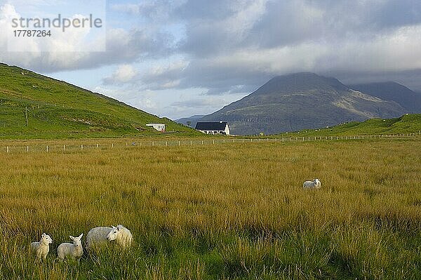 Cuillin Hills  Blick von Fischerdorf Elgol  Insel Skye  Western Highlands  Schottland  Isle of Skye