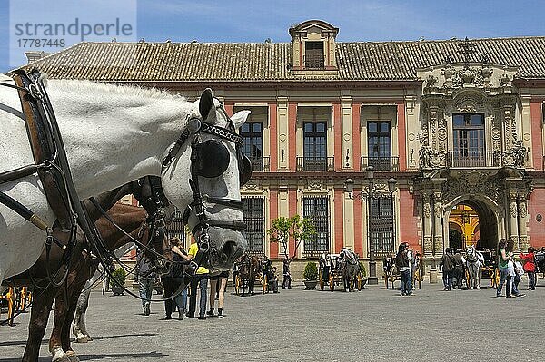 Erzbischöflicher Palast an der Plaza del Triunfo  Sevilla  Andalusien  Spanien  Europa