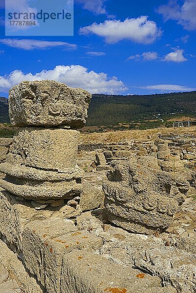 Bolonia  Baelo Claudia  Archäologische Stätte  alte römische Stadt  Naturpark Straße von Gibraltar  Costa de la Luz  Cadiz  Andalusien  Spanien  Europa