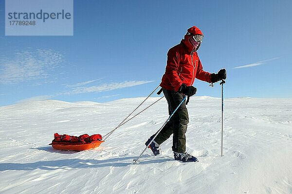 Winterwanderer zieht Schlitten  Bank  Arktis  Island  Kanada  Nordamerika