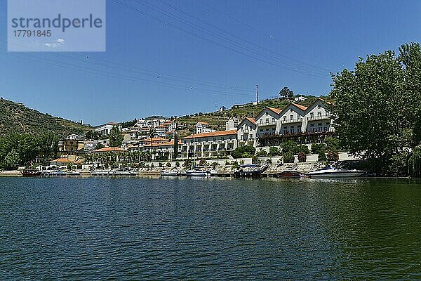 Pinhao  Fluss Douro  Portugal  Europa