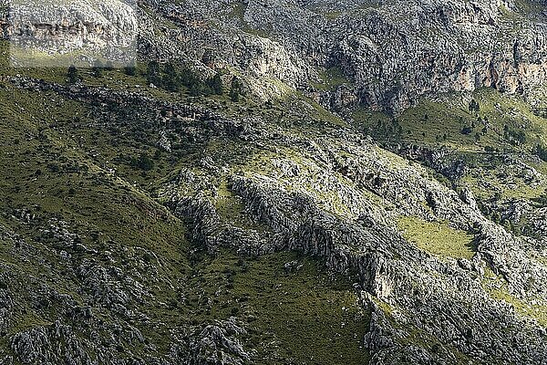 Ausblick vom Cova des Mirador de s'Entreforc  Tramuntana-Gebirge  Mallorca  Balearen  Spanien  Europa