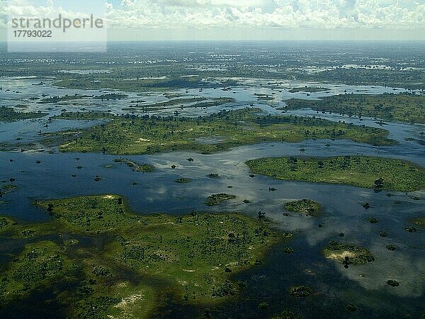Okavango Delta bei Flut  Botswana  Afrika