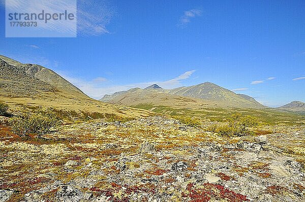 Rondane Nationalpark  Norwegen  Europa