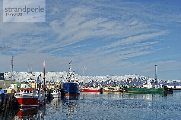 Fischertrawler im Hafen von Husavik  Husavik  Nordisland  Island  Europa