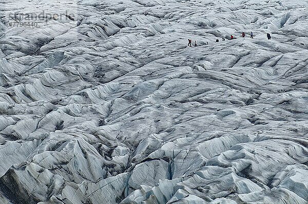 Gletscherwanderer auf dem Svinafell-Gletscher  Svinafellgletscher  Svinafell  Skaftafell Nationalpark  Vatnajökull Nationalpark  Island  Europa