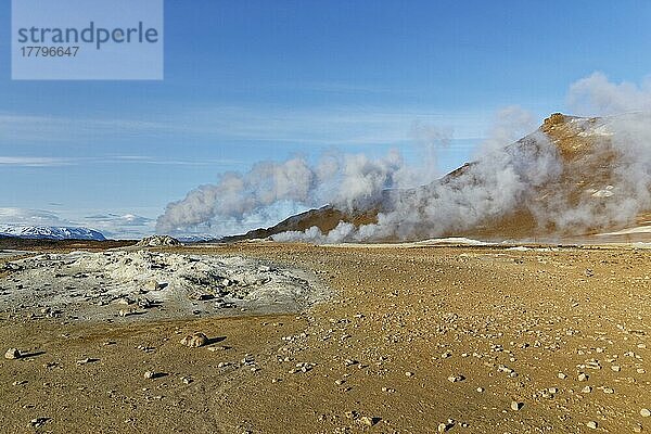 Geothermalgebiet Hverir  Namafjall  Nähe Myvatn  Nordisland  Island  Europa